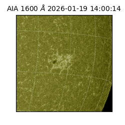 saia - 2026-01-19T14:00:14.130000