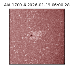 saia - 2026-01-19T06:00:28.720000