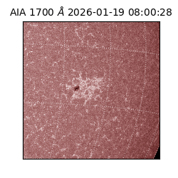 saia - 2026-01-19T08:00:28.720000
