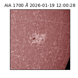 saia - 2026-01-19T12:00:28.720000