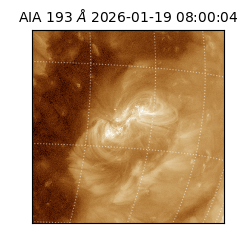 saia - 2026-01-19T08:00:04.830000