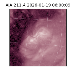 saia - 2026-01-19T06:00:09.630000