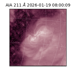 saia - 2026-01-19T08:00:09.620000