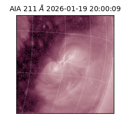 saia - 2026-01-19T20:00:09.630000