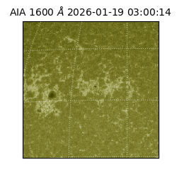 saia - 2026-01-19T03:00:14.126000