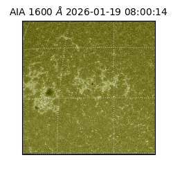 saia - 2026-01-19T08:00:14.120000