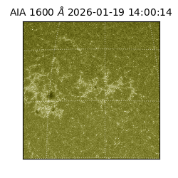 saia - 2026-01-19T14:00:14.130000