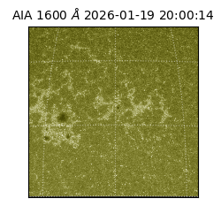 saia - 2026-01-19T20:00:14.130000