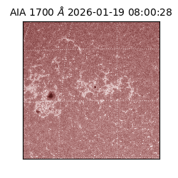 saia - 2026-01-19T08:00:28.720000