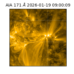saia - 2026-01-19T09:00:09.350000