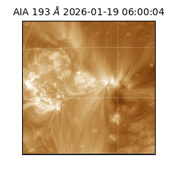saia - 2026-01-19T06:00:04.840000