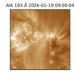 saia - 2026-01-19T09:00:04.840000
