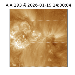 saia - 2026-01-19T14:00:04.840000