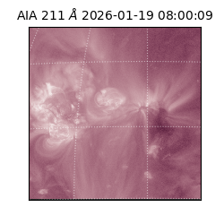 saia - 2026-01-19T08:00:09.620000