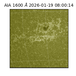 saia - 2026-01-19T08:00:14.120000