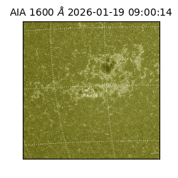 saia - 2026-01-19T09:00:14.130000