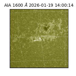 saia - 2026-01-19T14:00:14.130000