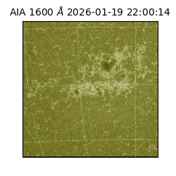 saia - 2026-01-19T22:00:14.130000