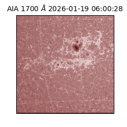 saia - 2026-01-19T06:00:28.720000