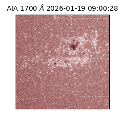 saia - 2026-01-19T09:00:28.720000