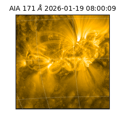 saia - 2026-01-19T08:00:09.340000