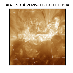 saia - 2026-01-19T01:00:04.843000