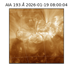 saia - 2026-01-19T08:00:04.830000