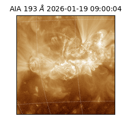 saia - 2026-01-19T09:00:04.840000