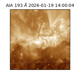 saia - 2026-01-19T14:00:04.840000