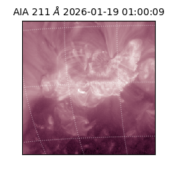 saia - 2026-01-19T01:00:09.632000