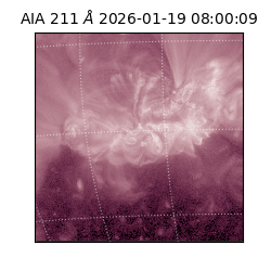 saia - 2026-01-19T08:00:09.620000