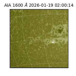 saia - 2026-01-19T02:00:14.126000