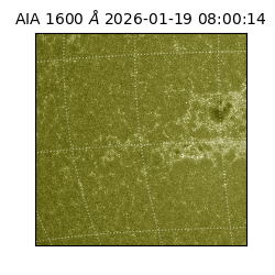 saia - 2026-01-19T08:00:14.120000