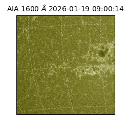 saia - 2026-01-19T09:00:14.130000