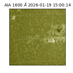 saia - 2026-01-19T15:00:14.130000