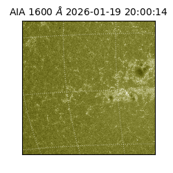 saia - 2026-01-19T20:00:14.130000