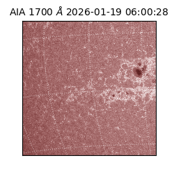 saia - 2026-01-19T06:00:28.720000