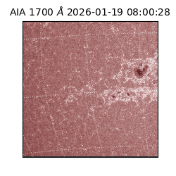 saia - 2026-01-19T08:00:28.720000