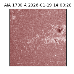 saia - 2026-01-19T14:00:28.740000