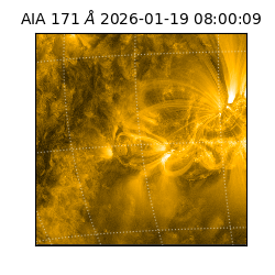 saia - 2026-01-19T08:00:09.340000