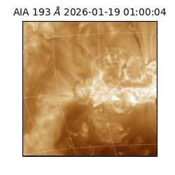 saia - 2026-01-19T01:00:04.843000