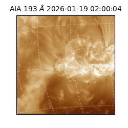 saia - 2026-01-19T02:00:04.843000