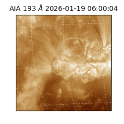 saia - 2026-01-19T06:00:04.840000