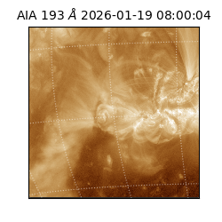 saia - 2026-01-19T08:00:04.830000