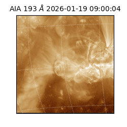 saia - 2026-01-19T09:00:04.840000