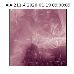 saia - 2026-01-19T09:00:09.630000