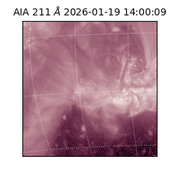 saia - 2026-01-19T14:00:09.640000