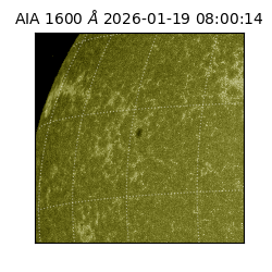 saia - 2026-01-19T08:00:14.120000