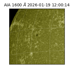 saia - 2026-01-19T12:00:14.130000
