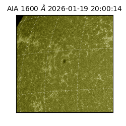 saia - 2026-01-19T20:00:14.130000
